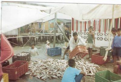 "LOS PESCADORES TENEMOS PROBLEMAS CON EL COMBUSTIBLE"